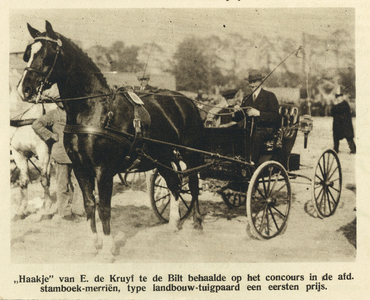 99062 Afbeelding van het prijswinnende paard 'Haakje' van eigenaar E. de Kruyf te De Bilt op het Concours Hippique dat ...